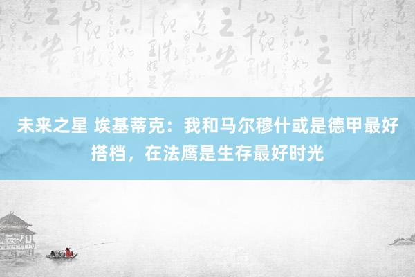 未来之星 埃基蒂克：我和马尔穆什或是德甲最好搭档，在法鹰是生存最好时光