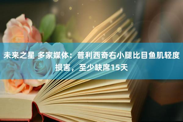 未来之星 多家媒体：普利西奇右小腿比目鱼肌轻度损害，至少缺席15天