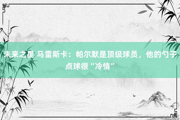 未来之星 马雷斯卡：帕尔默是顶级球员，他的勺子点球很“冷情”